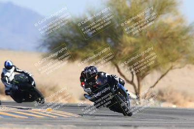 media/Jan-14-2024-SoCal Trackdays (Sun) [[2e55ec21a6]]/Turn 4 Tree of Life (155pm)/